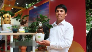Unique Snake-Shaped Coconut Bonsai Trends for Lunar New Year 2025 - image 1