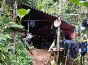 Illegal Gold Mining Sites Discovered in Quang Tri Province, Vietnam - image 2