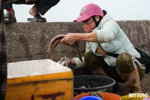 Fishing for Prosperity: Fishermen Head Out to Sea for the First Catch of the Year - image 3
