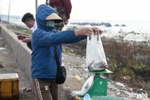 Fishing for Prosperity: Fishermen Head Out to Sea for the First Catch of the Year - image 5