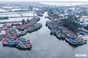 Fishing for Prosperity: Fishermen Head Out to Sea for the First Catch of the Year - image 9