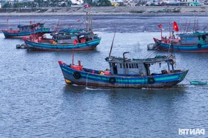 Fishing for Prosperity: Fishermen Head Out to Sea for the First Catch of the Year - image 1