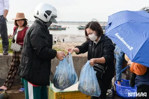 Fishing for Prosperity: Fishermen Head Out to Sea for the First Catch of the Year - image 10
