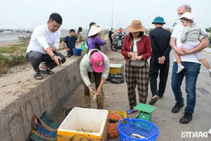 Fishing for Prosperity: Fishermen Head Out to Sea for the First Catch of the Year - image 6