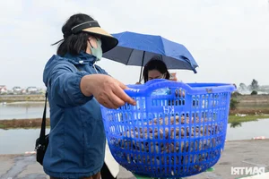Fishing for Prosperity: Fishermen Head Out to Sea for the First Catch of the Year - image 7