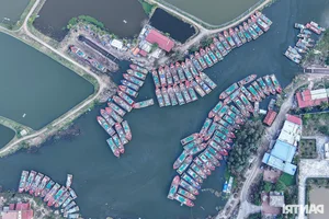 Fishing for Prosperity: Fishermen Head Out to Sea for the First Catch of the Year - image 2