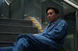 Top 5 Vietnamese Stars Dominating the Tet 2026 Movie Season - image 3