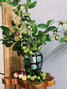 From Countryside Fruit to Chic Home Decor: The Unique Branch Arrangement Trend - image 6