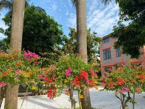 Modern Senior Living Near Ba Vi Mountain: A Cozy Hanoi Haven - image 3