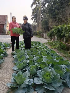 Modern Senior Living Near Ba Vi Mountain: A Cozy Hanoi Haven - image 10