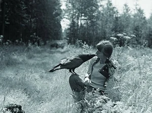 The Enchanting Life of the Snow Witch Living Among Wild Animals - image 4