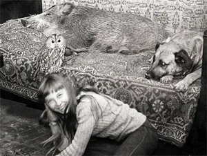 The Enchanting Life of the Snow Witch Living Among Wild Animals - image 1