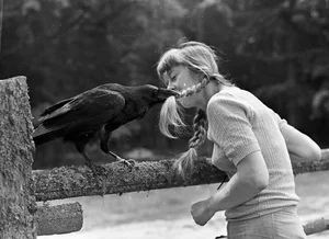 The Enchanting Life of the Snow Witch Living Among Wild Animals - image 10