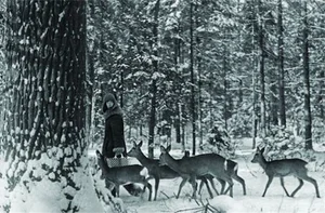 The Enchanting Life of the Snow Witch Living Among Wild Animals - image 6