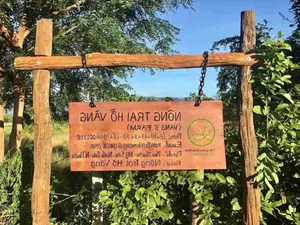 Secrets Exposed: Mr. Thich Nhuan Dat and the Controversy Surrounding the Practice Place - image 3