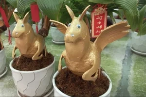 Horse-Shaped Coconut Bonsai Trends Ahead of Tet Binh Ngo 2026 - image 3