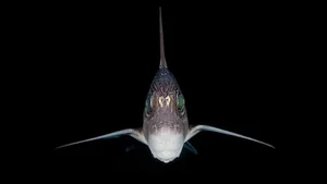 Unveiling the Most Mysterious Creature on Earth: A Journey into the Unknown - image 5