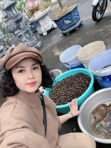 Where Is Actress Minh Phuong from the Famous Series 'Chay An' Now? - image 3