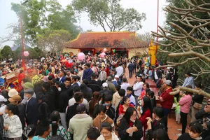 Tien Cong Festival 2024: Honoring the Elderly and Founding Ancestors of Ha Nam Island - image 3