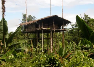 Inside the World's Most Remote and Mysterious Tribes - image 2