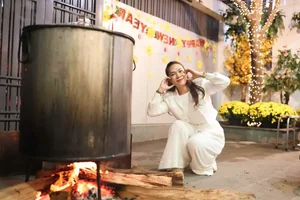 Vietnamese Celebrities Prepare for Lunar New Year Family Reunions - image 1