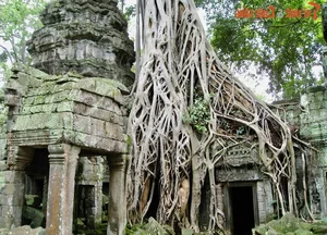8 Ancient Secrets of Angkor Wat Hidden for Thousands of Years - image 7