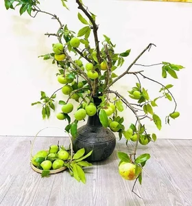 The Rise of Persimmon Branches: Why Everyone Is Buying This Seasonal Decor - image 5