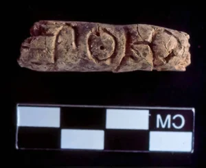 Secrets Revealed: Excavating a 4,400-Year-Old Tomb in Syria - image 3
