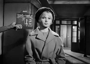 The Legendary Life and Style of French Icon Brigitte Bardot - image 8