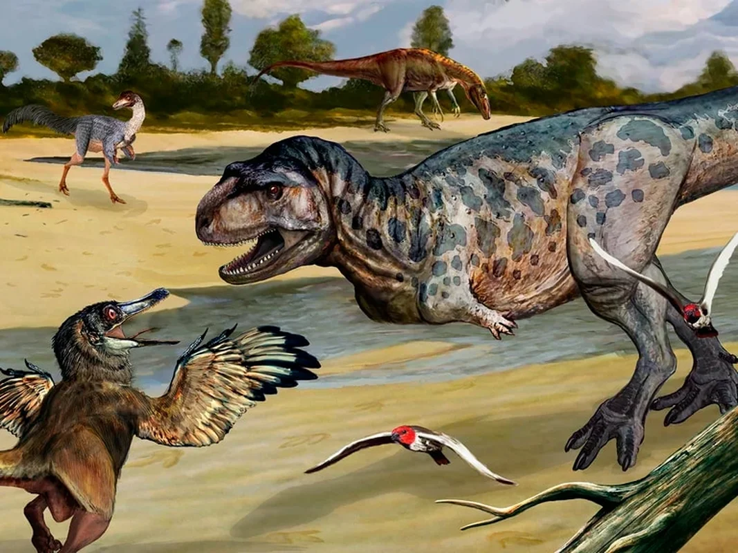 100-Million-Year-Old 'Sea Monster' Fossil Unearthed in France