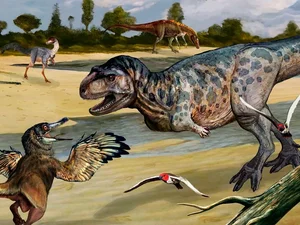 100-Million-Year-Old 'Sea Monster' Fossil Unearthed in France - image 0