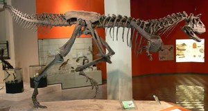 100-Million-Year-Old 'Sea Monster' Fossil Unearthed in France - image 2
