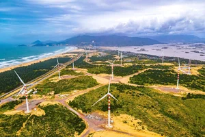 Exploring the Breathtaking Beauty of Phuong Mai Wind Farm in Quy Nhon - image 9