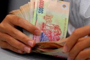 Hidden Secrets of Vietnam's Polymer Currency: More Than Just Money - image 1
