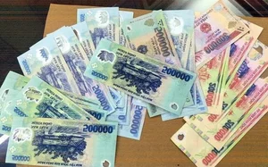 Hidden Secrets of Vietnam's Polymer Currency: More Than Just Money - image 3