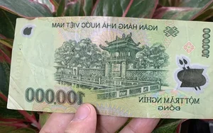 Hidden Secrets of Vietnam's Polymer Currency: More Than Just Money - image 8
