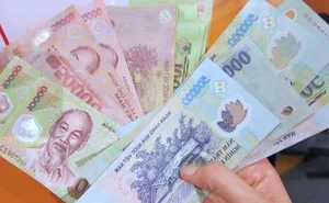 Hidden Secrets of Vietnam's Polymer Currency: More Than Just Money - image 5