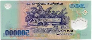 Hidden Secrets of Vietnam's Polymer Currency: More Than Just Money - image 2