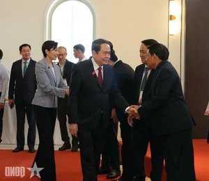 Mekong Delta and Japan Forge Stronger Economic and Agricultural Partnerships - image 6