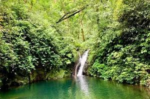 Camera Traps Discover Rare and Endangered Wildlife in Vu Quang National Park - image 8