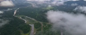 Camera Traps Discover Rare and Endangered Wildlife in Vu Quang National Park - image 3