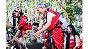 Vietnam Today: A Comprehensive Look at Politics, Business, and Culture - image 1