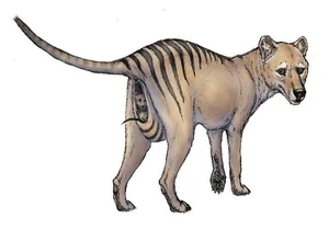 Shocking Revelations About the Tasmanian Tiger 90 Years After Extinction - image 0