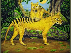 Shocking Revelations About the Tasmanian Tiger 90 Years After Extinction - image 9