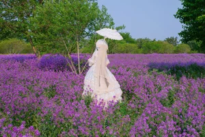 YiTuYu Art Language Vol.10465: An Extensive 67-Photo Gallery Featuring Liu Liu - image 65