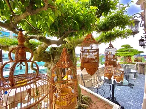 The Million-Dollar Ornamental Bird Collection of a Hanoi Tycoon - image 2