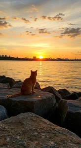 222+ Peaceful Chill Landscape Wallpapers for Your Soul - image 10