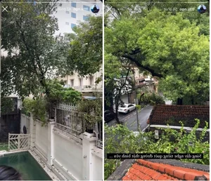 Devastating Impact of Typhoon Yagi on Gardens of Vietnamese Celebrities - image 7