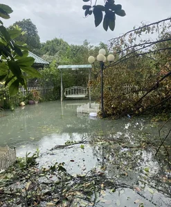 Devastating Impact of Typhoon Yagi on Gardens of Vietnamese Celebrities - image 1