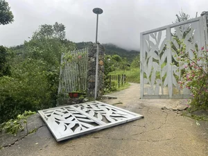 Devastating Impact of Typhoon Yagi on Gardens of Vietnamese Celebrities - image 2
